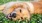 golden retriever smiles at the camera while laying in a field of wild flowers